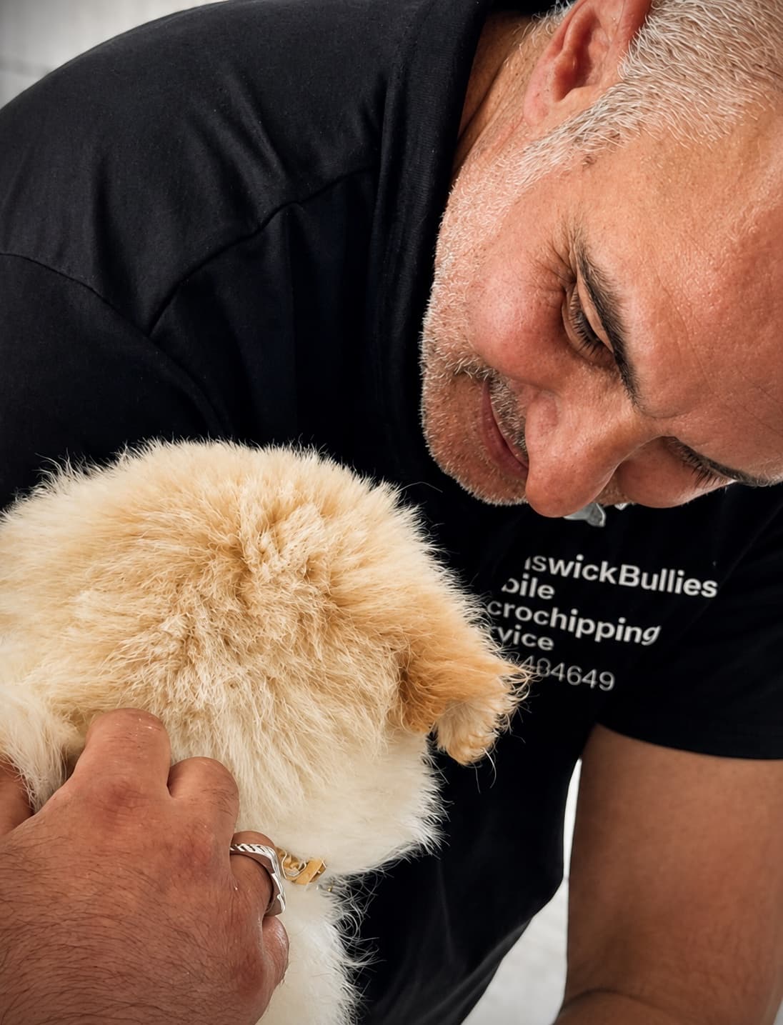 Tony in his BrunswickBullies t-shirt smiling at a fluffy cream puppy during a home microchipping visit